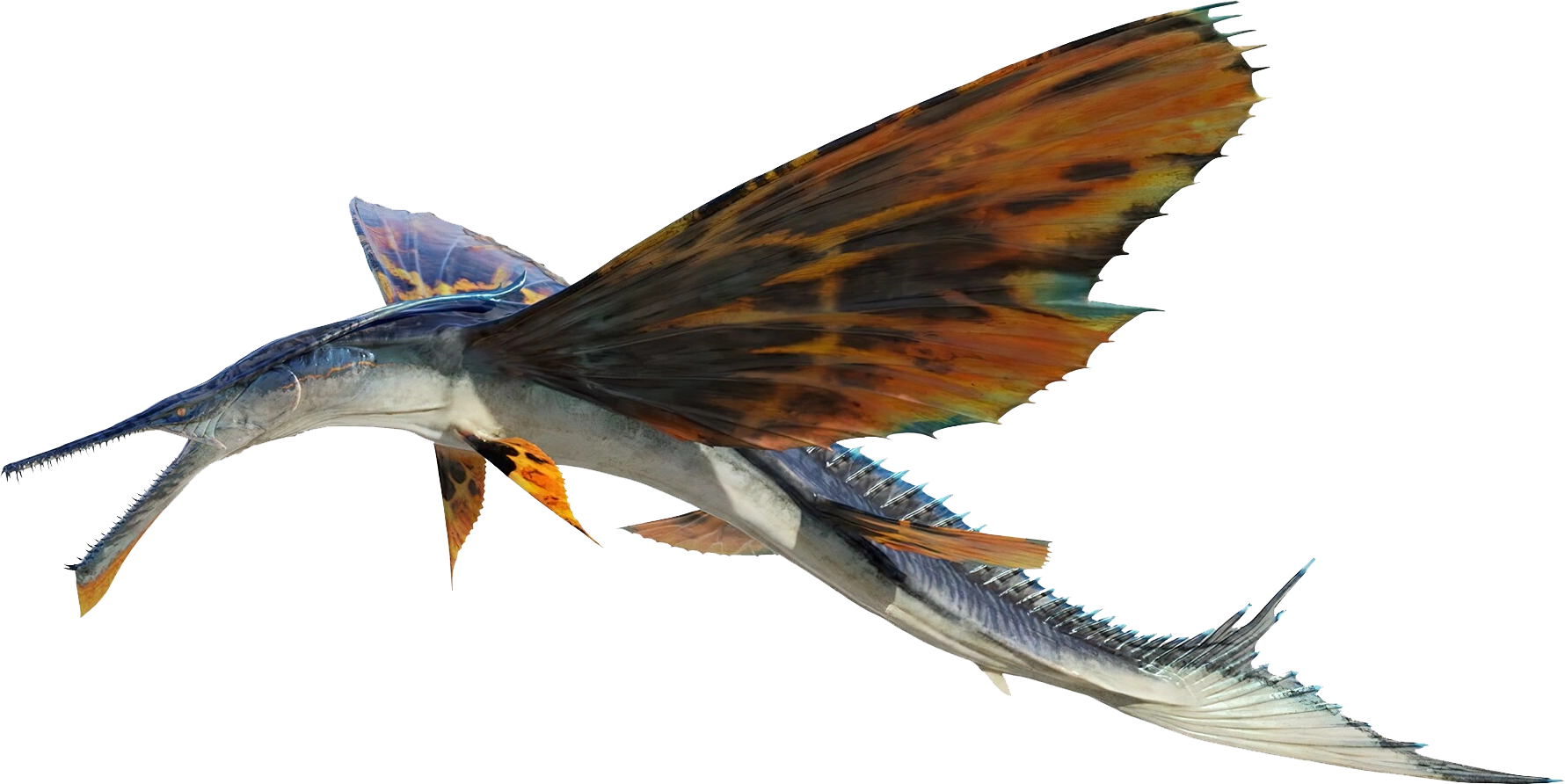 Skimwing — la manta des récifs